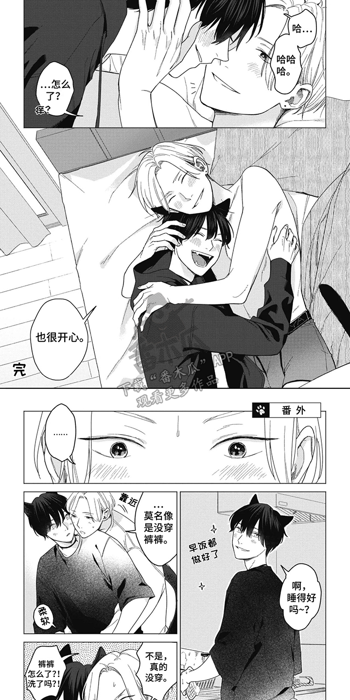 5.jpg