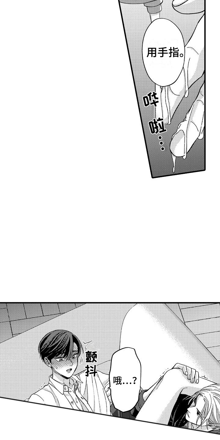 11.jpg