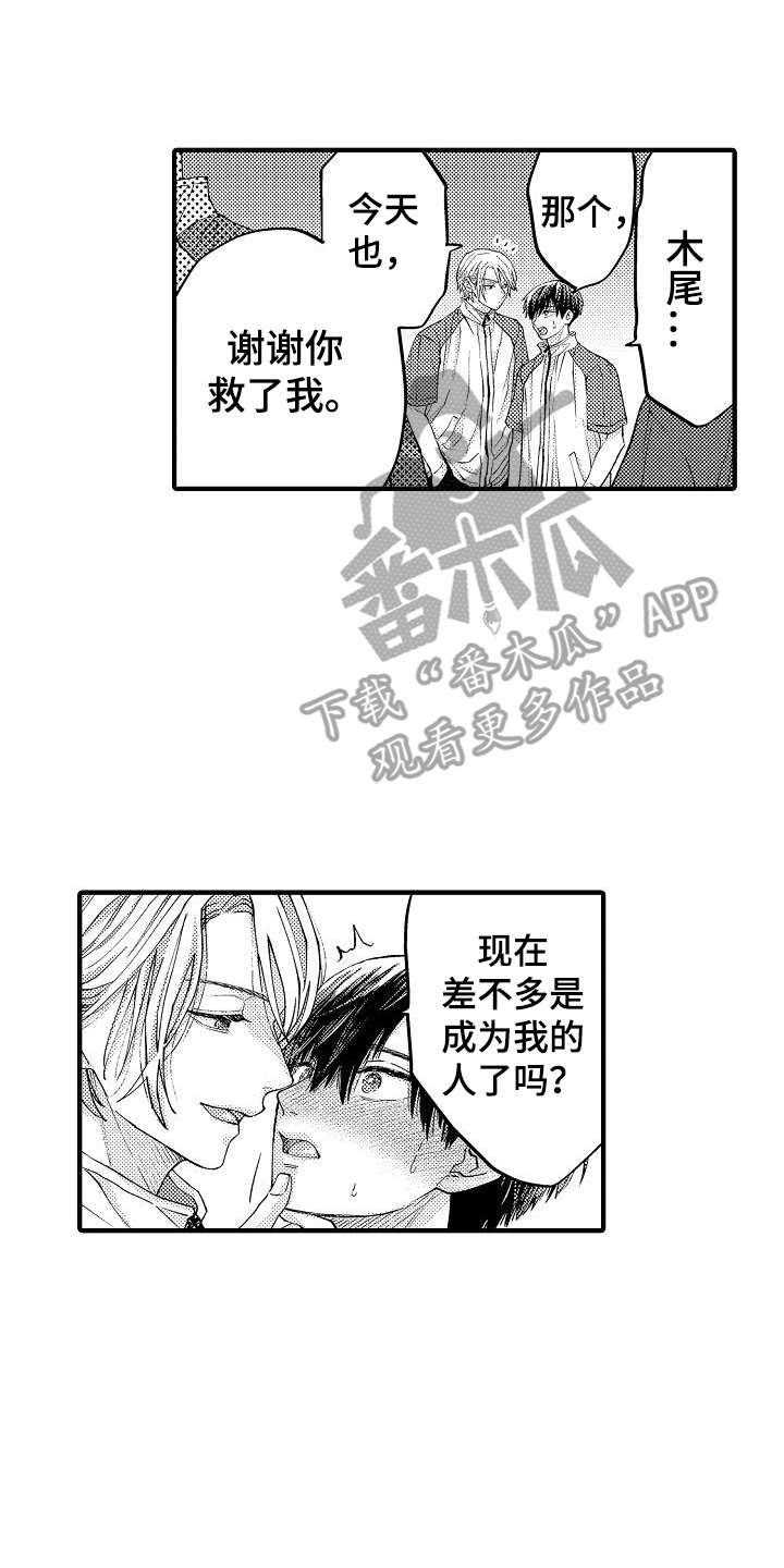 17.jpg