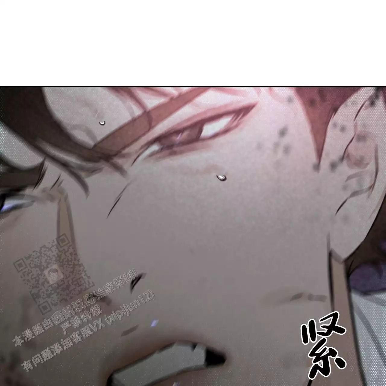27.jpg