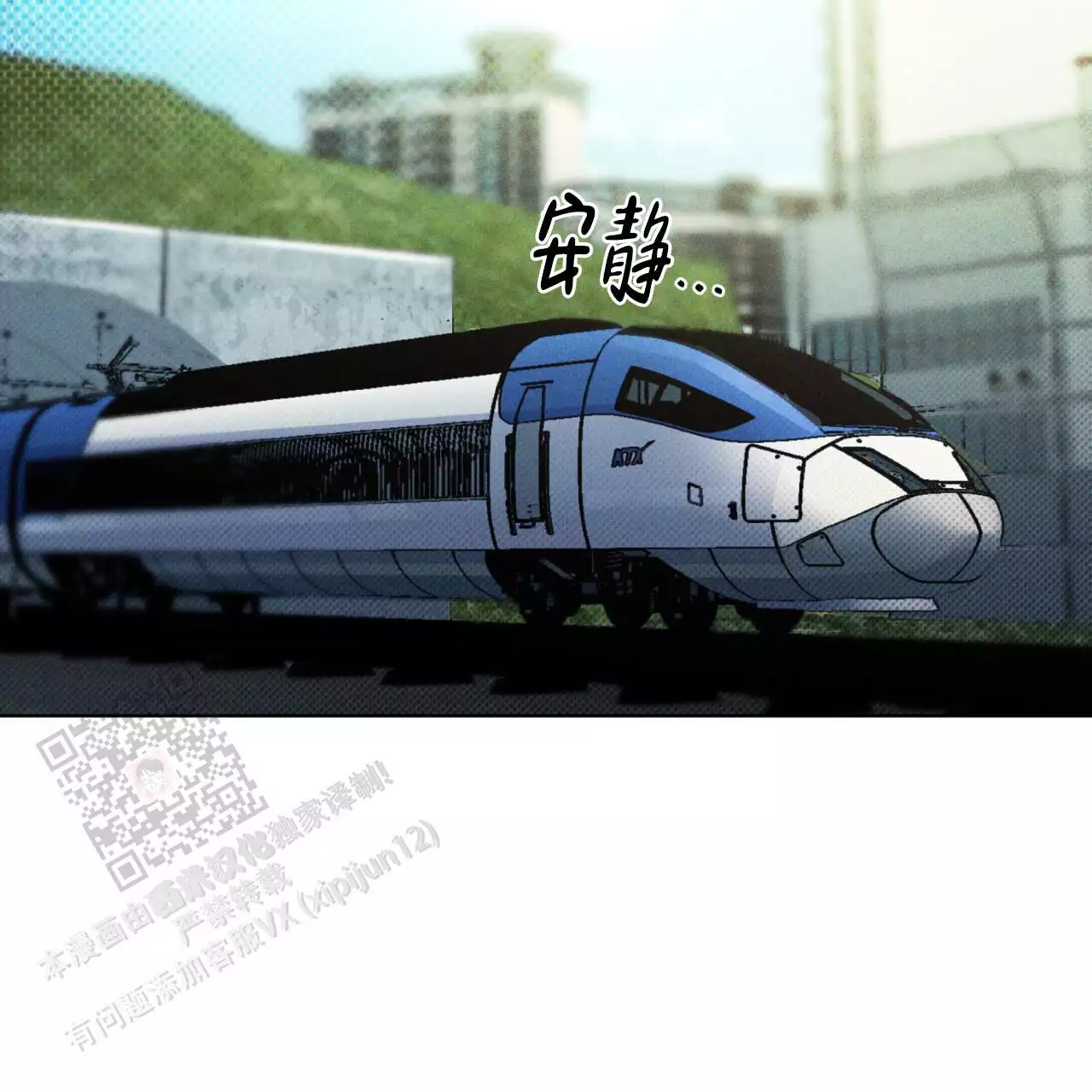 47.jpg