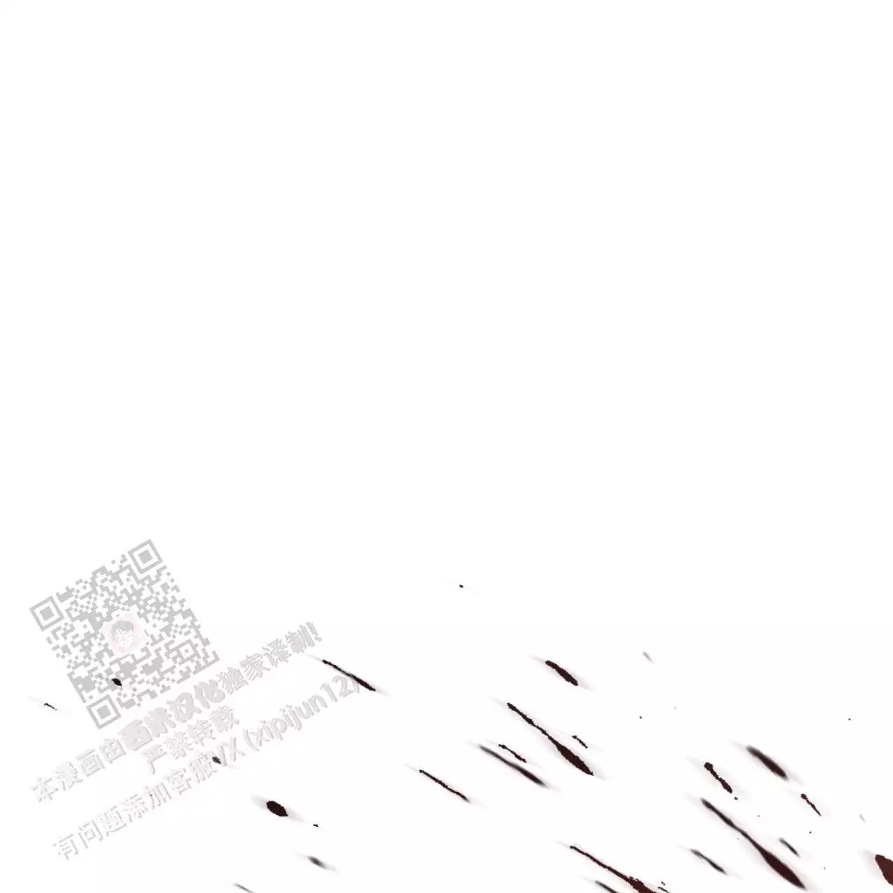 74.jpg