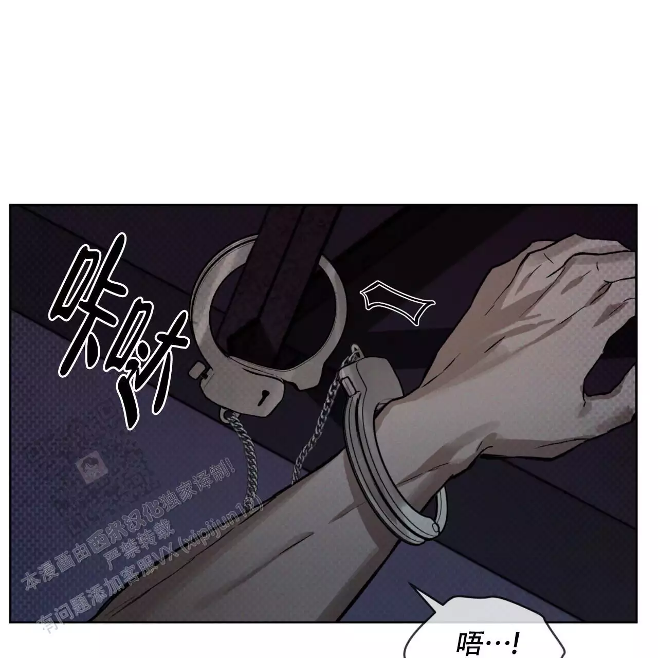 48.jpg