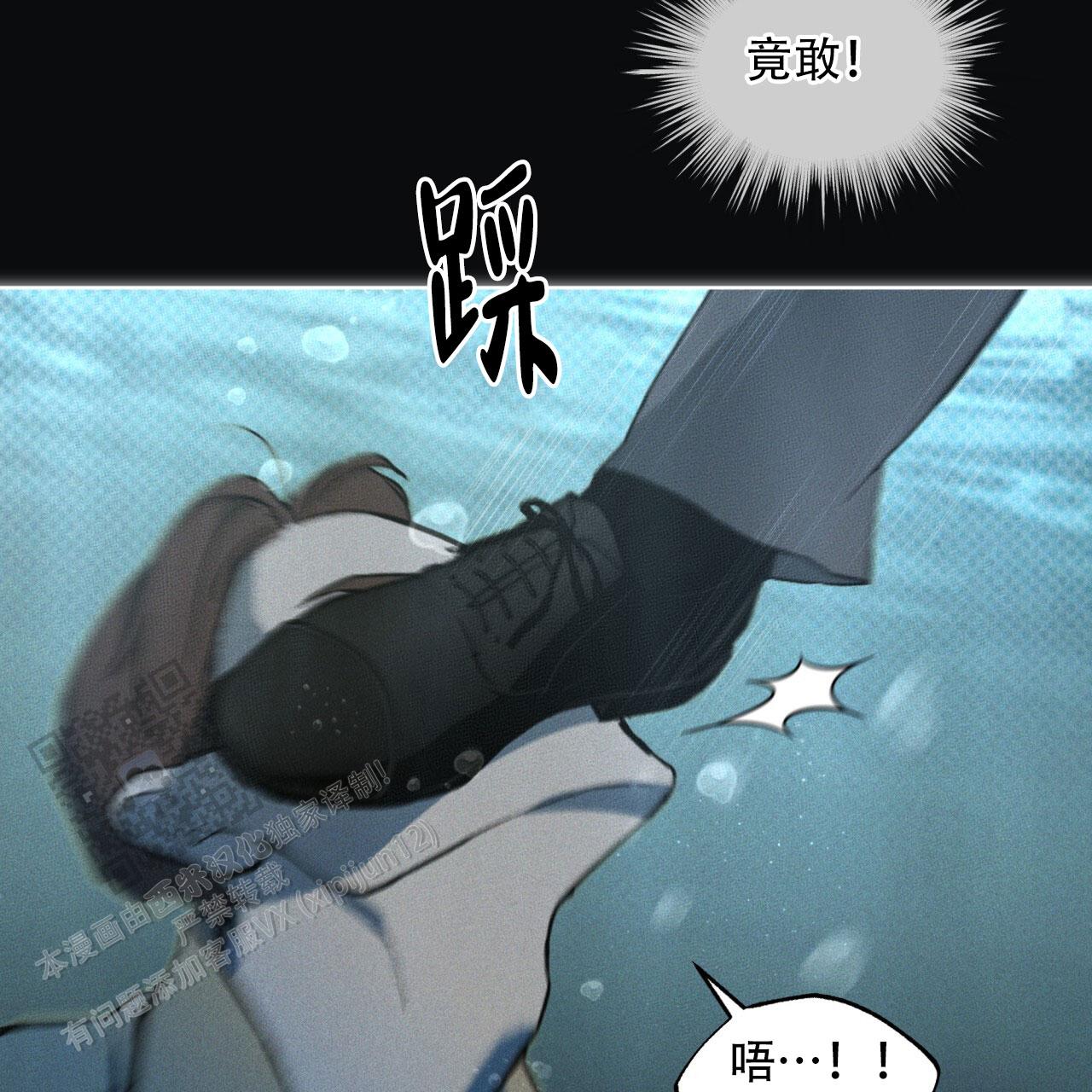 43.jpg