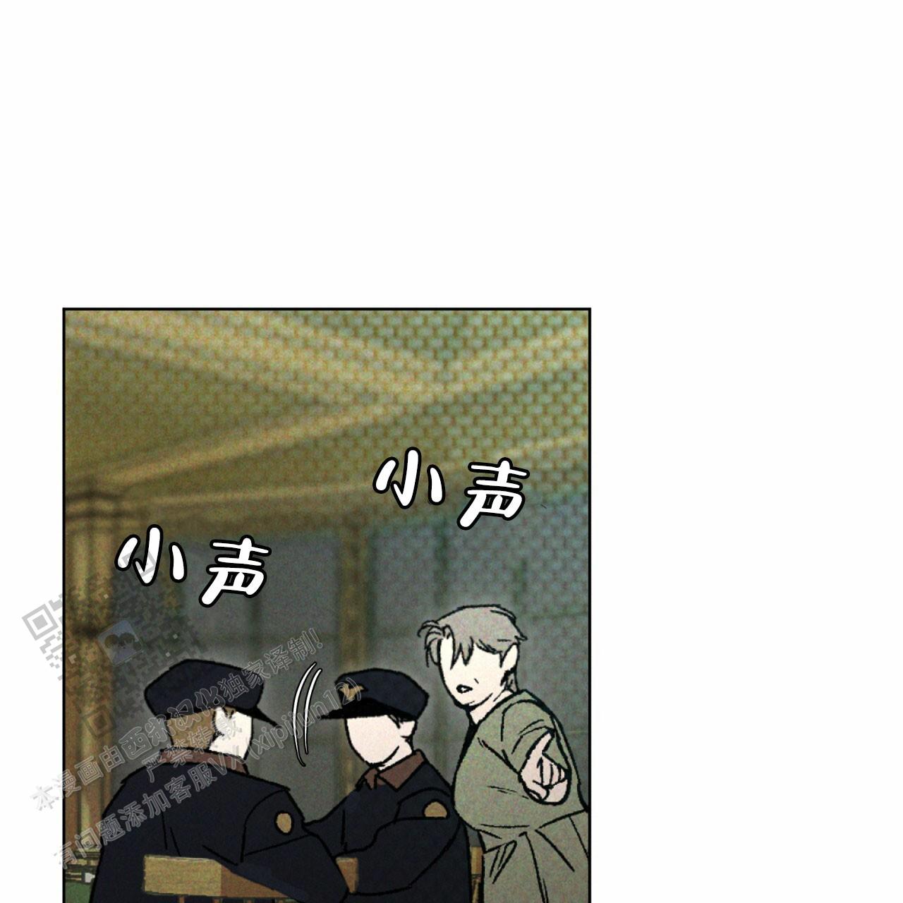 24.jpg