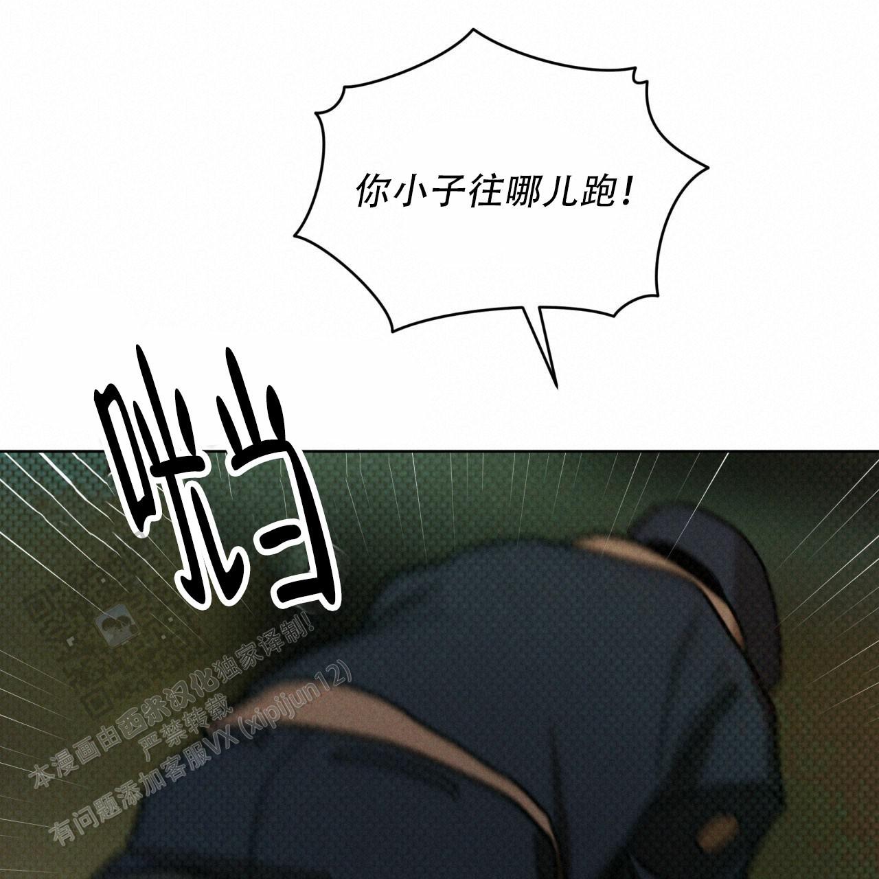 49.jpg