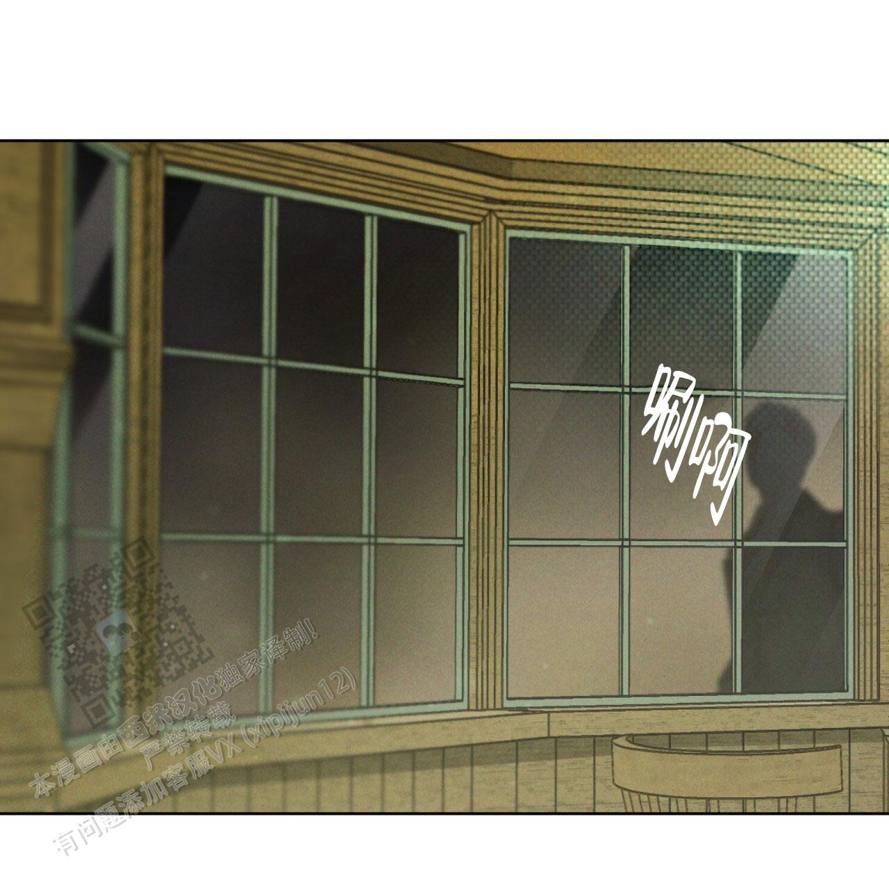 35.jpg
