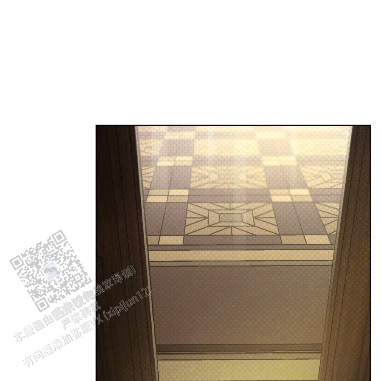 46.jpg