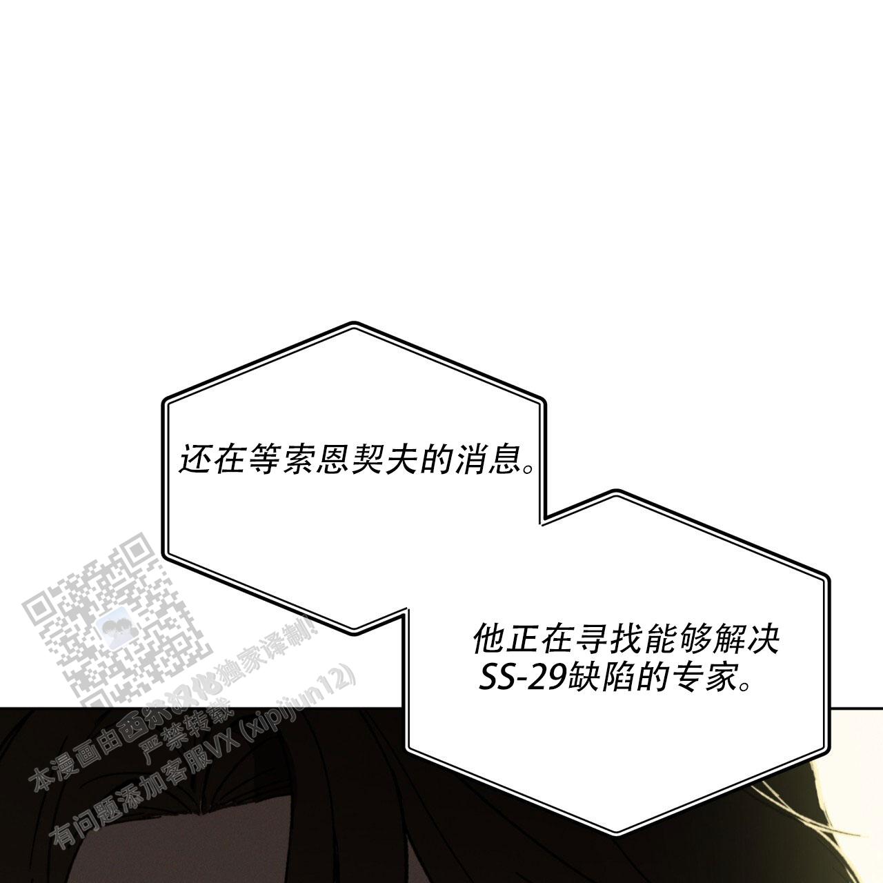 41.jpg