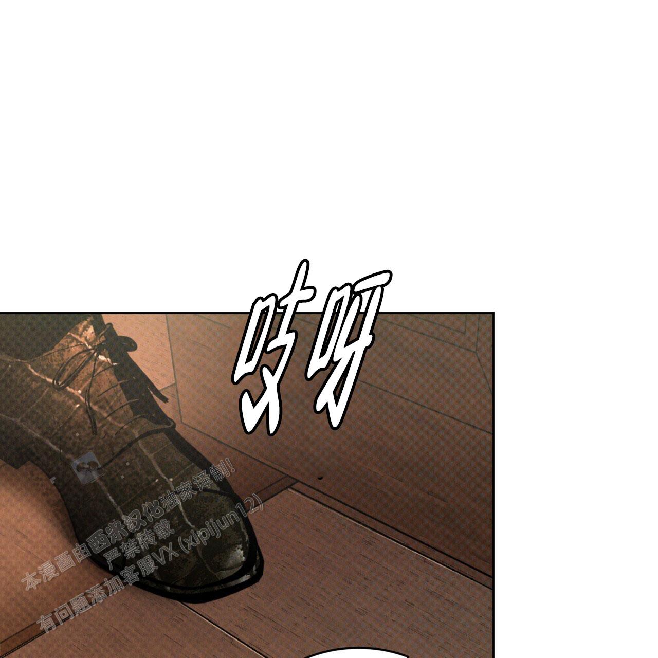 55.jpg