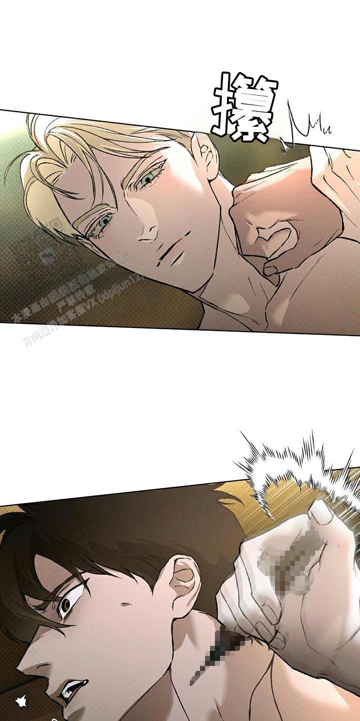21.jpg