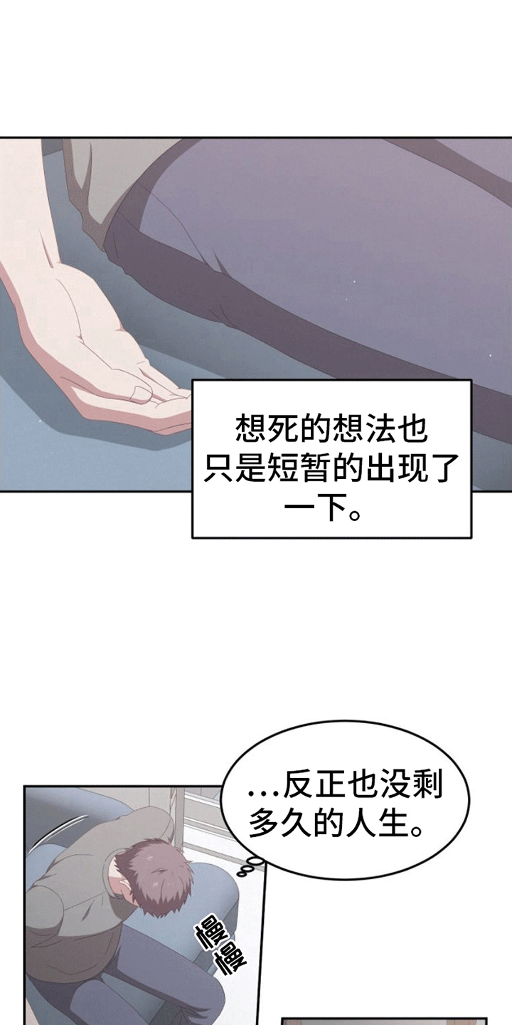 20.jpg