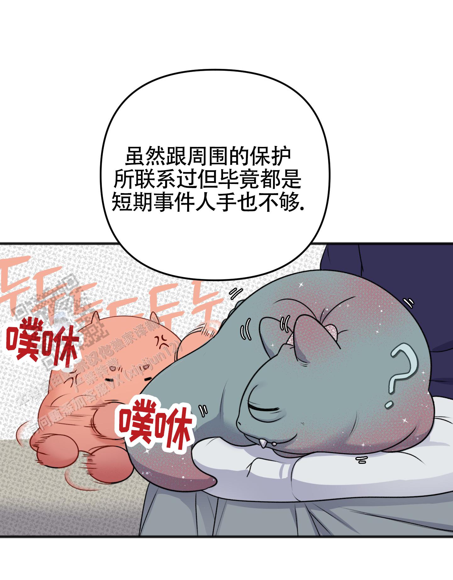 17.jpg