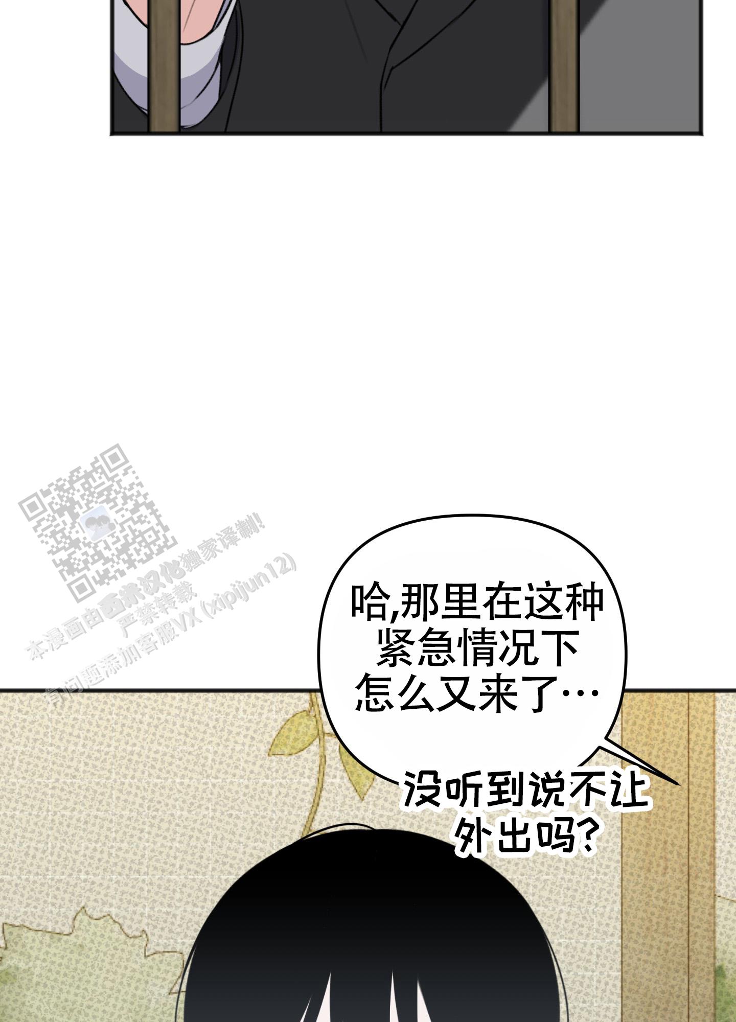 27.jpg