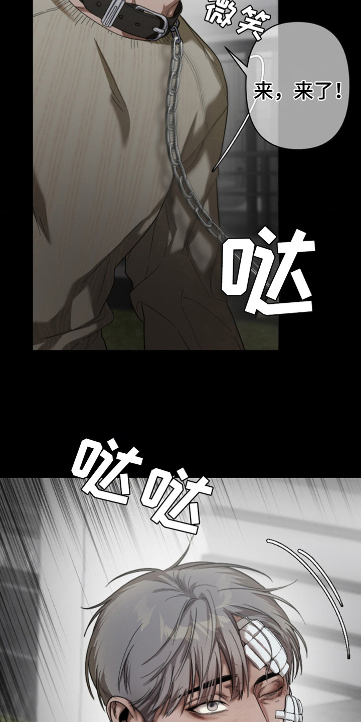 16.jpg