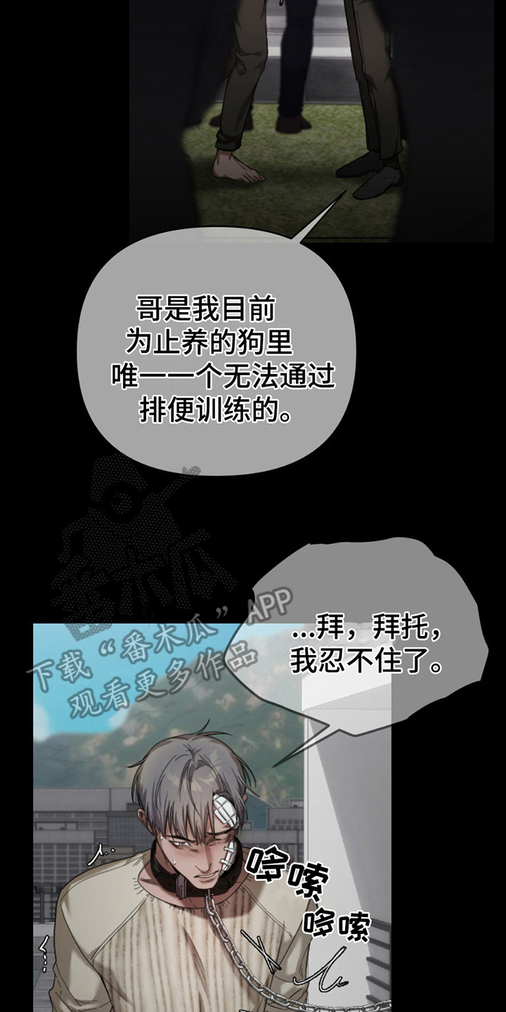 20.jpg