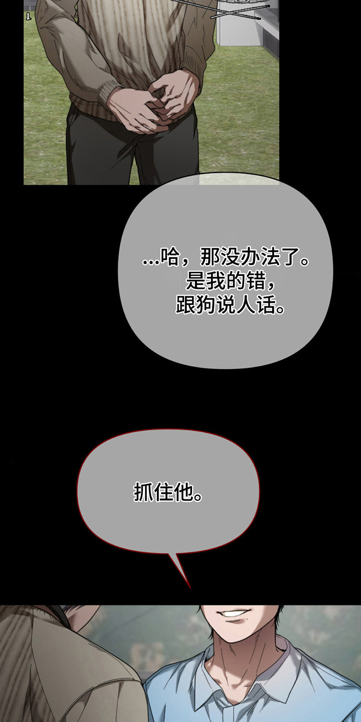 21.jpg