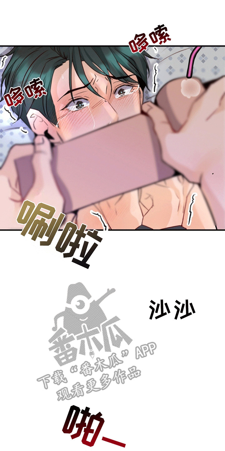 17.jpg