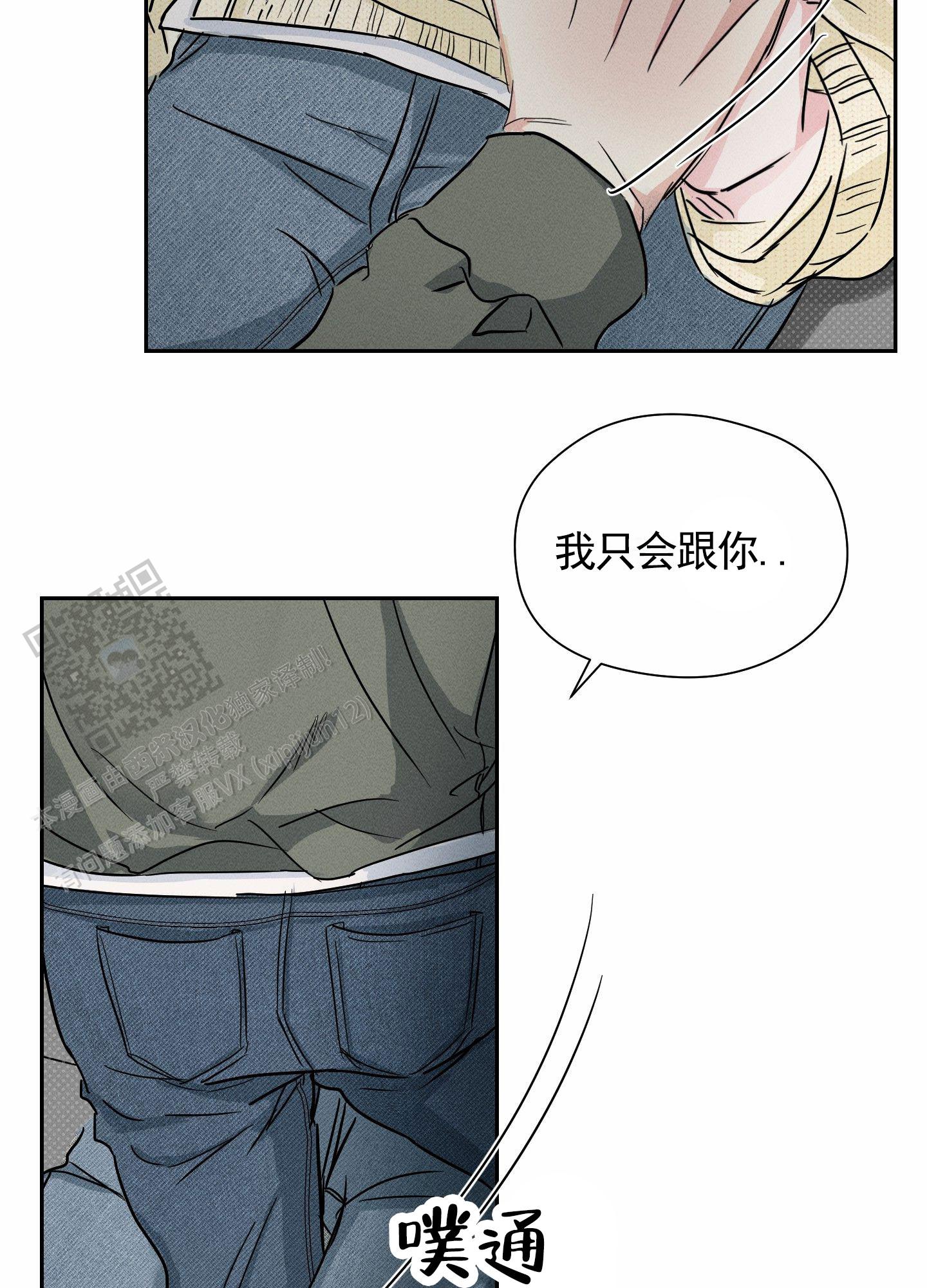 41.jpg