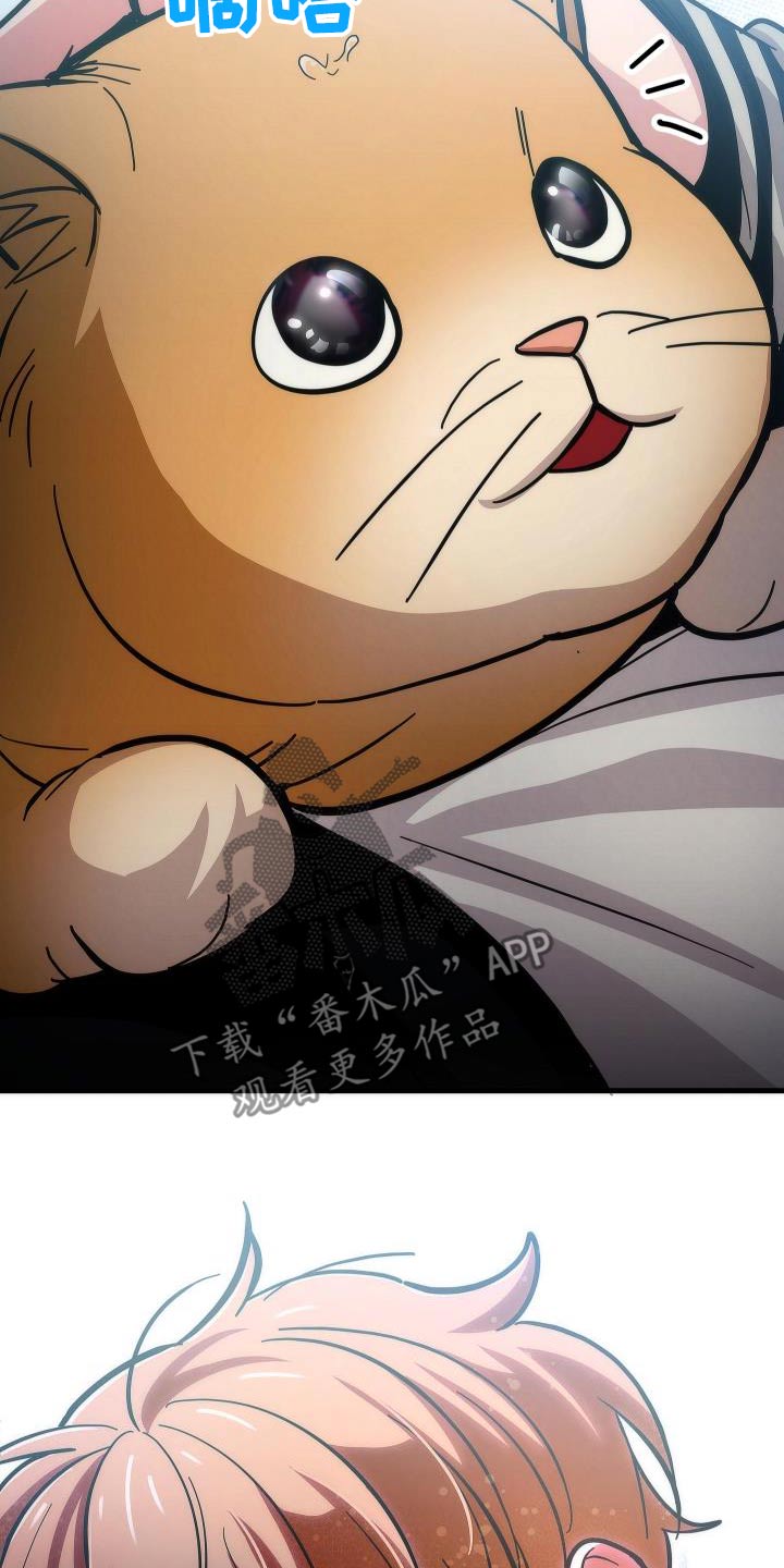 25.jpg