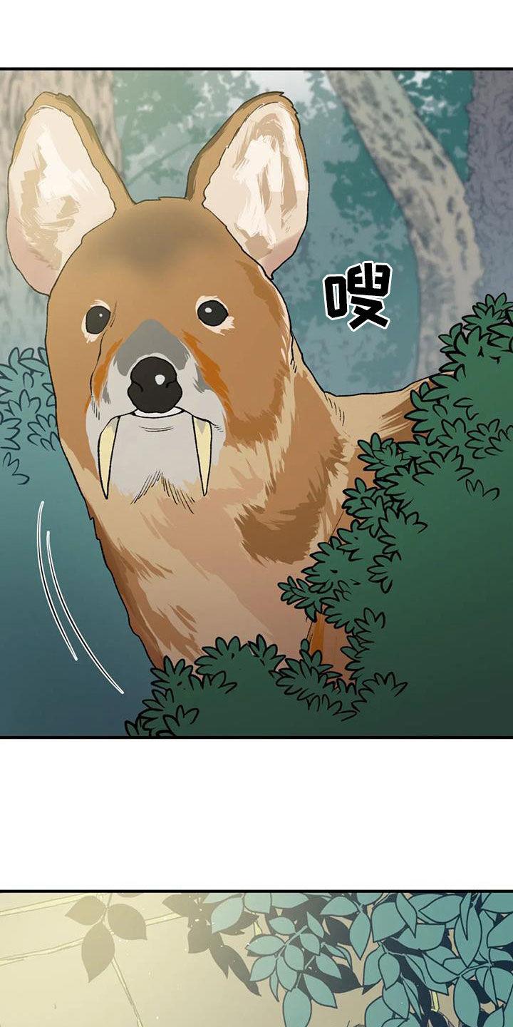 30.jpg