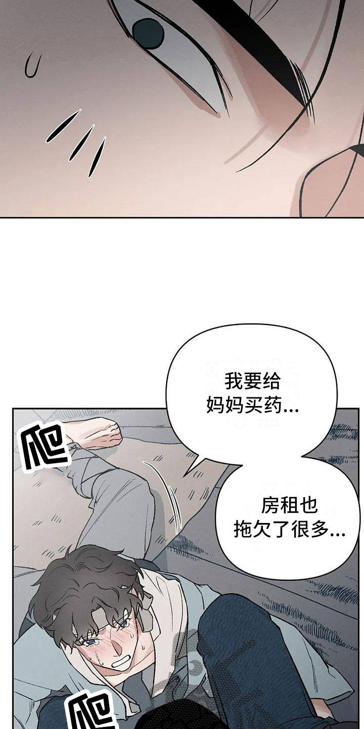 24.jpg