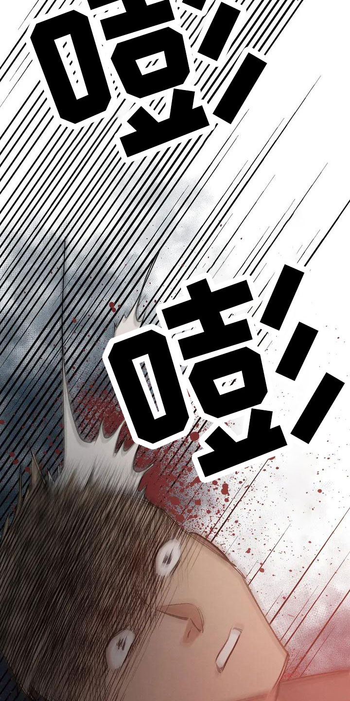 13.jpg