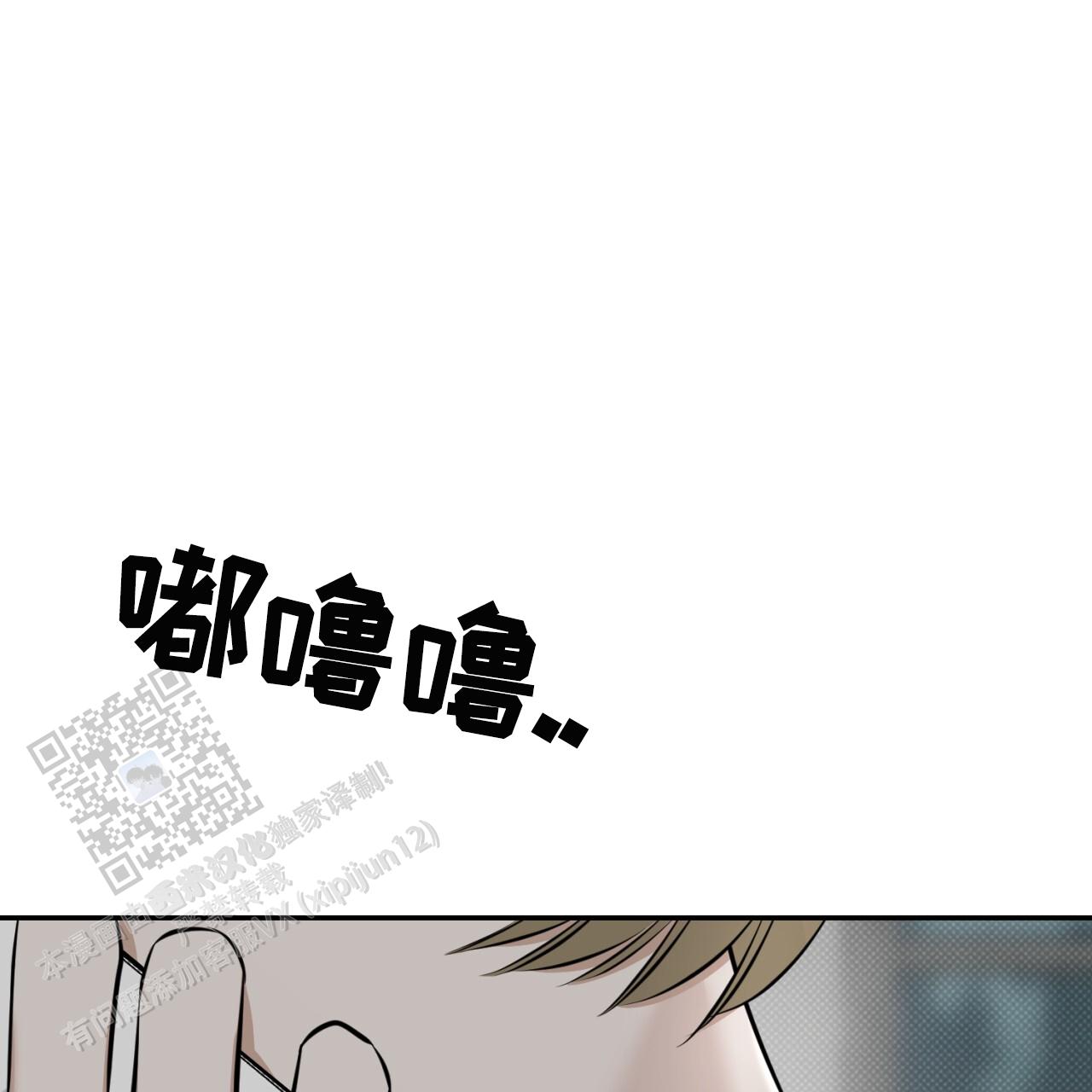 41.jpg