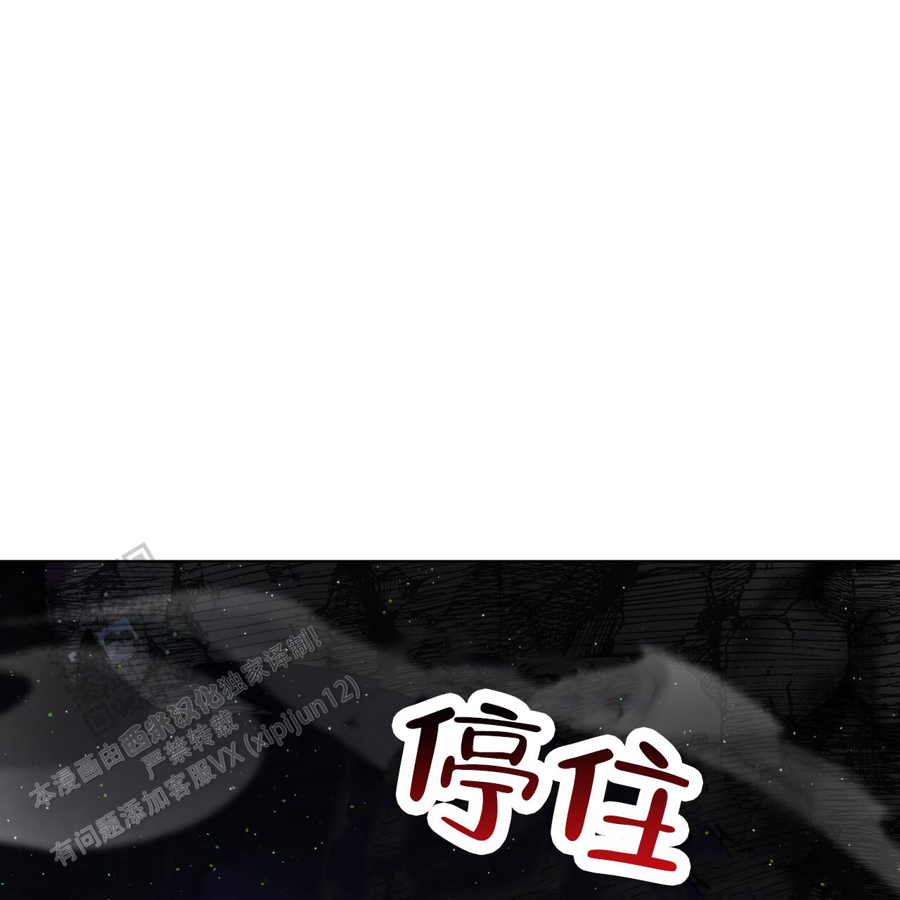 63.jpg