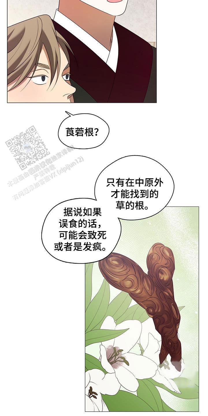 26.jpg