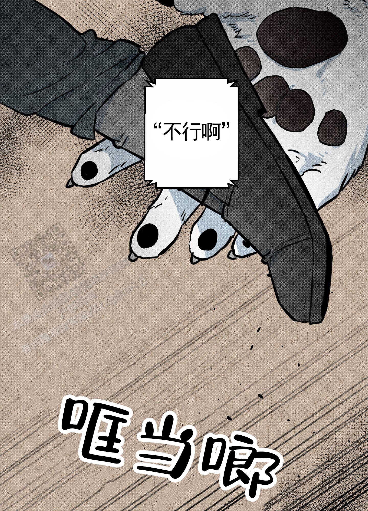 25.jpg