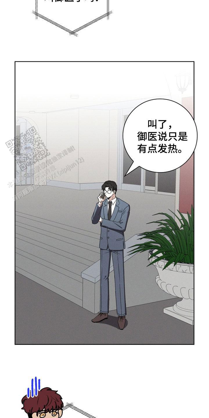 10.jpg