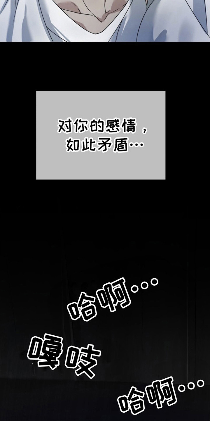 13.jpg