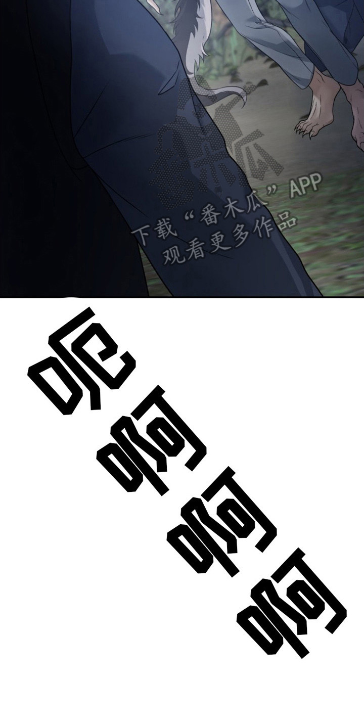 23.jpg