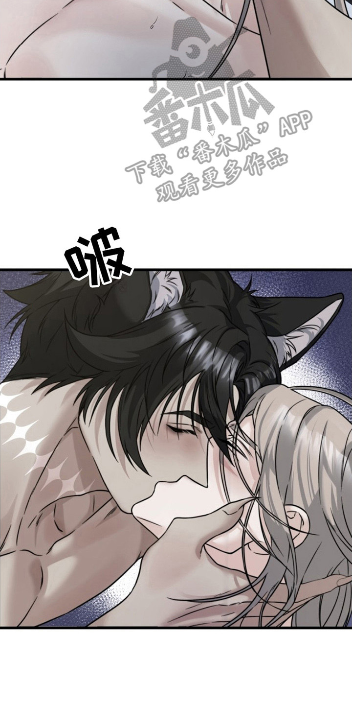 23.jpg