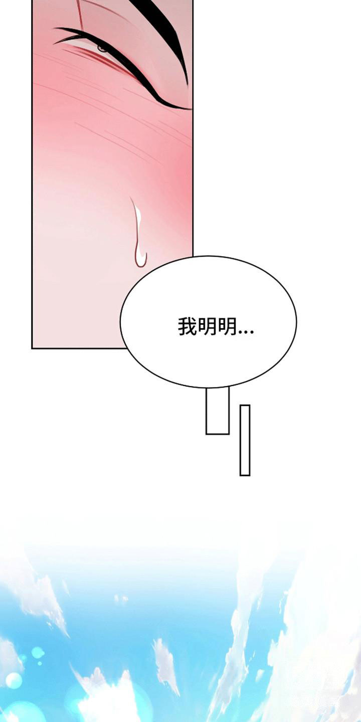 15.jpg