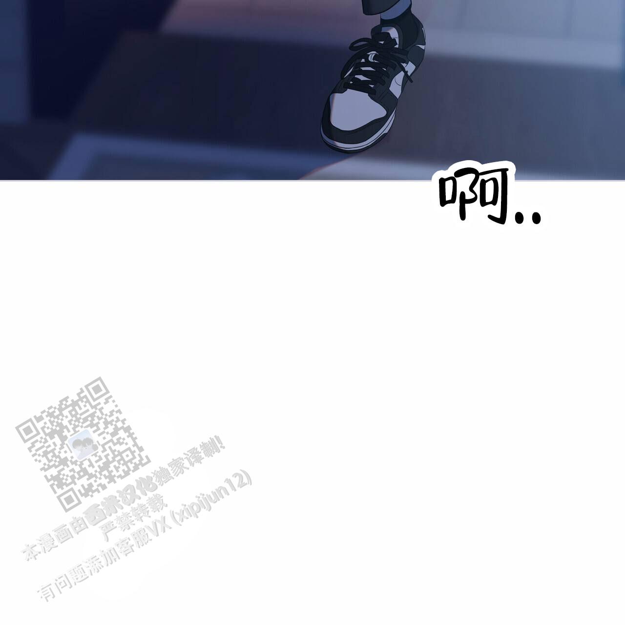 43.jpg