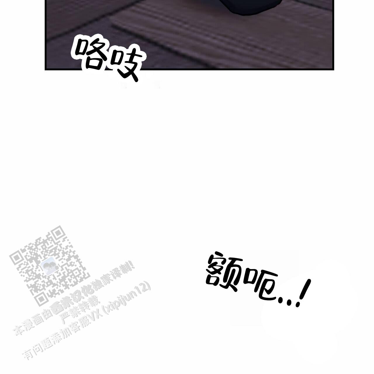 51.jpg