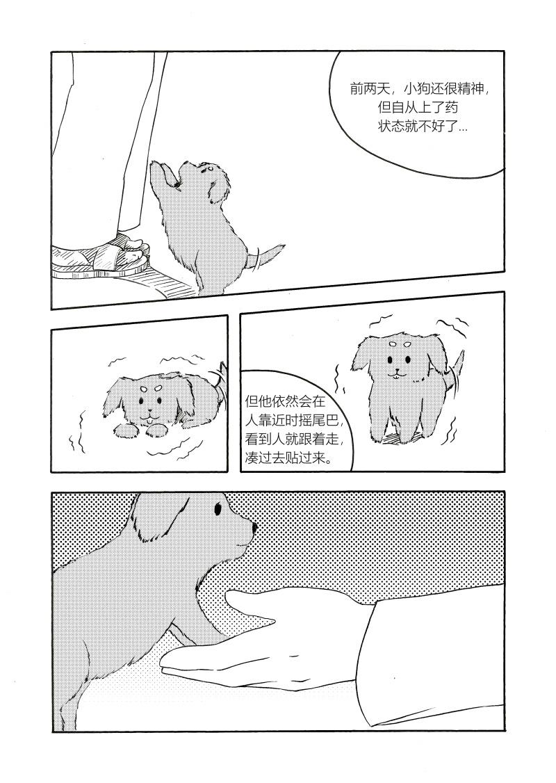 12.jpg