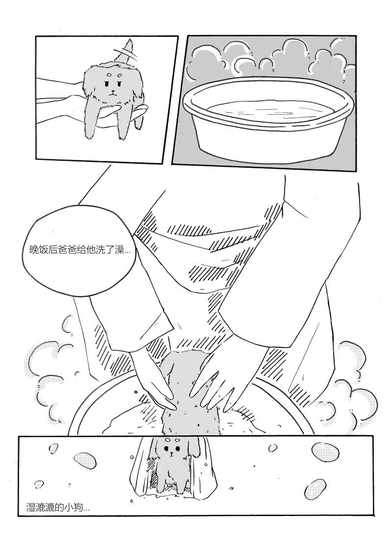 15.jpg