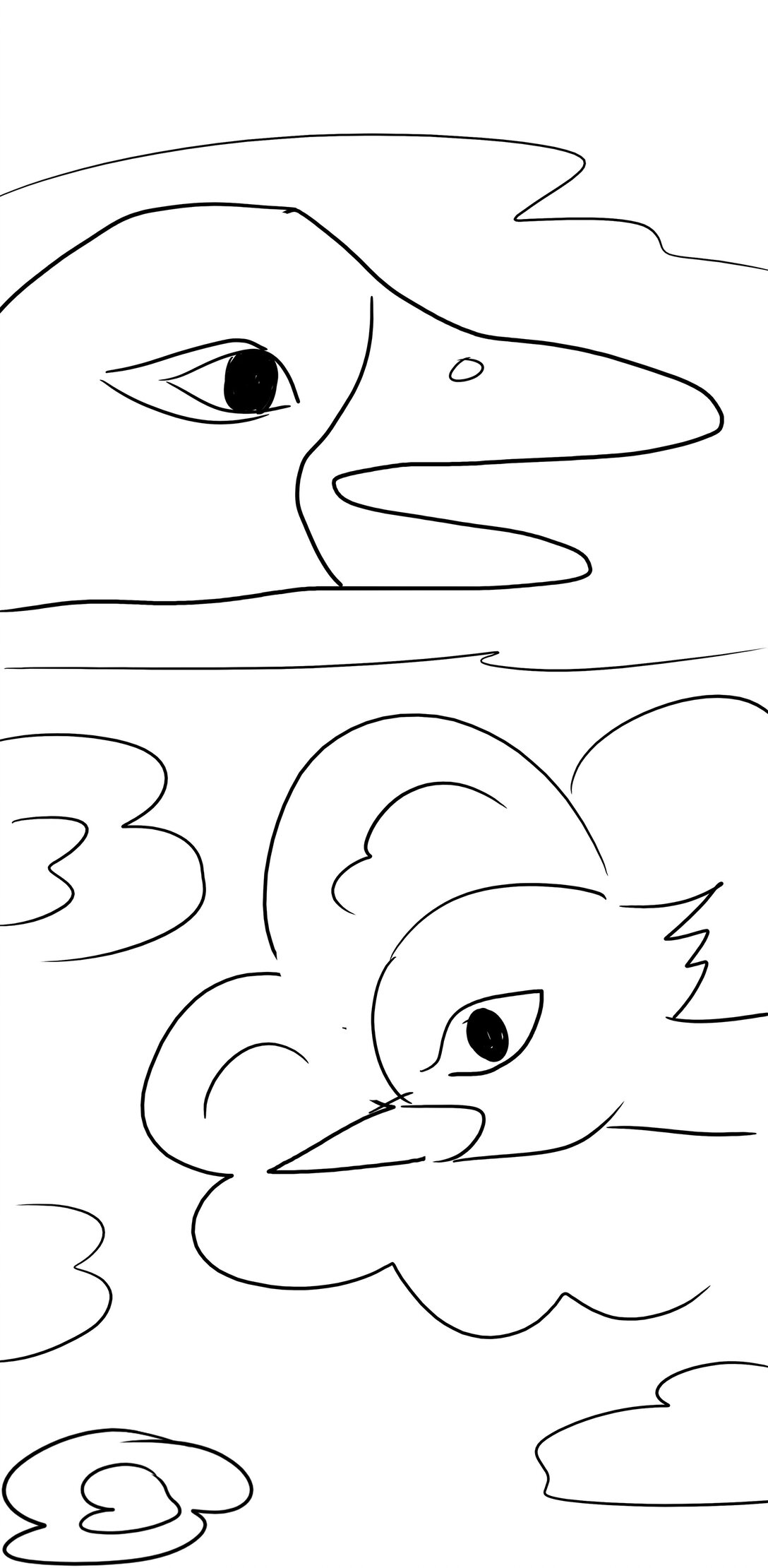 43.jpg