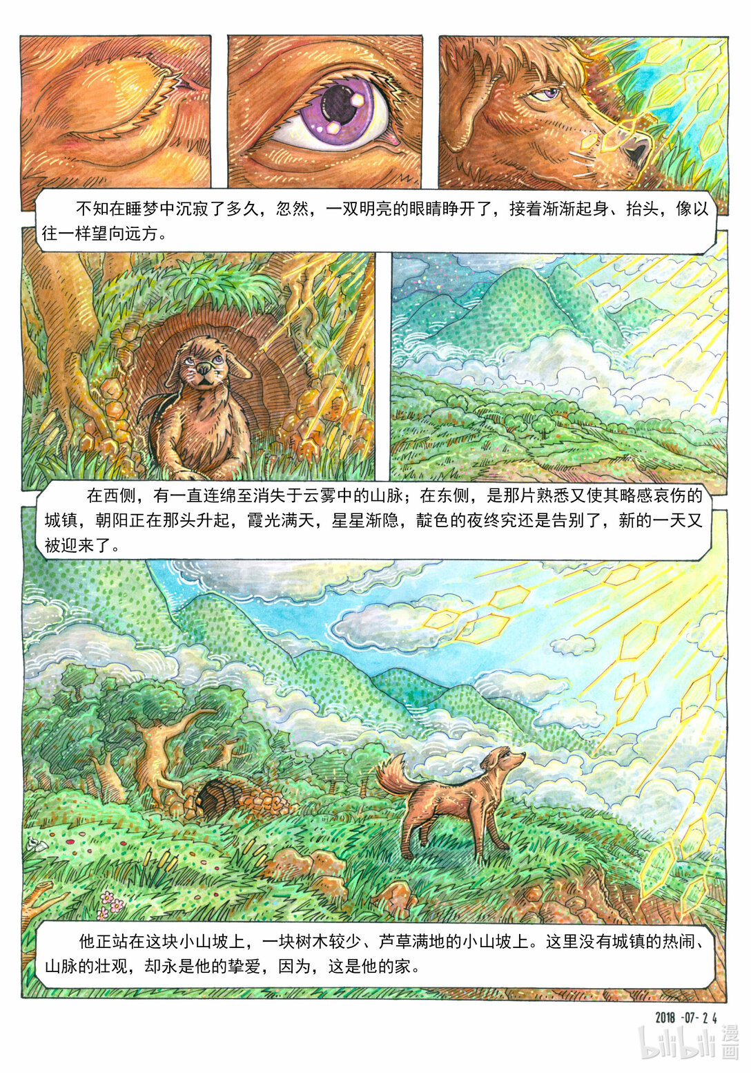 6.jpg
