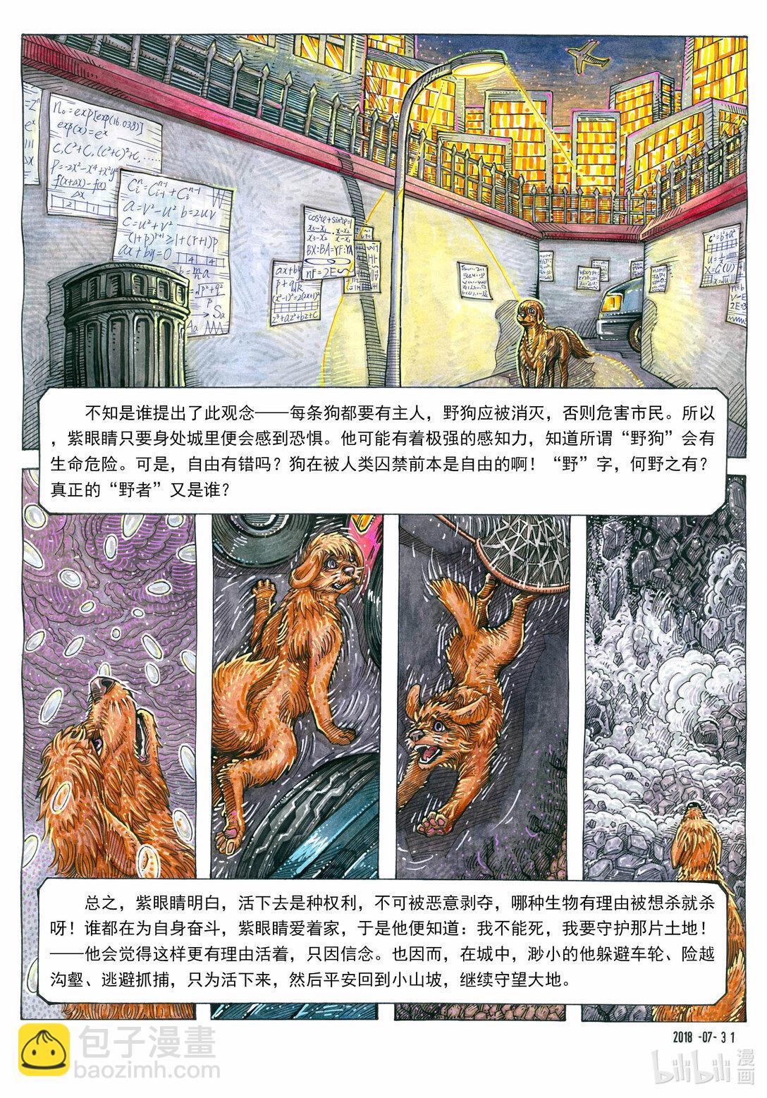 9.jpg