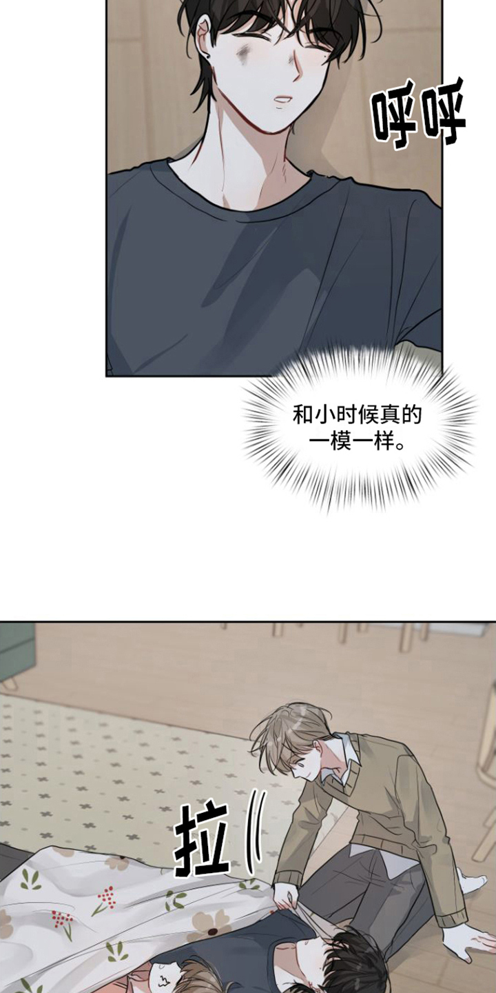 15.jpg