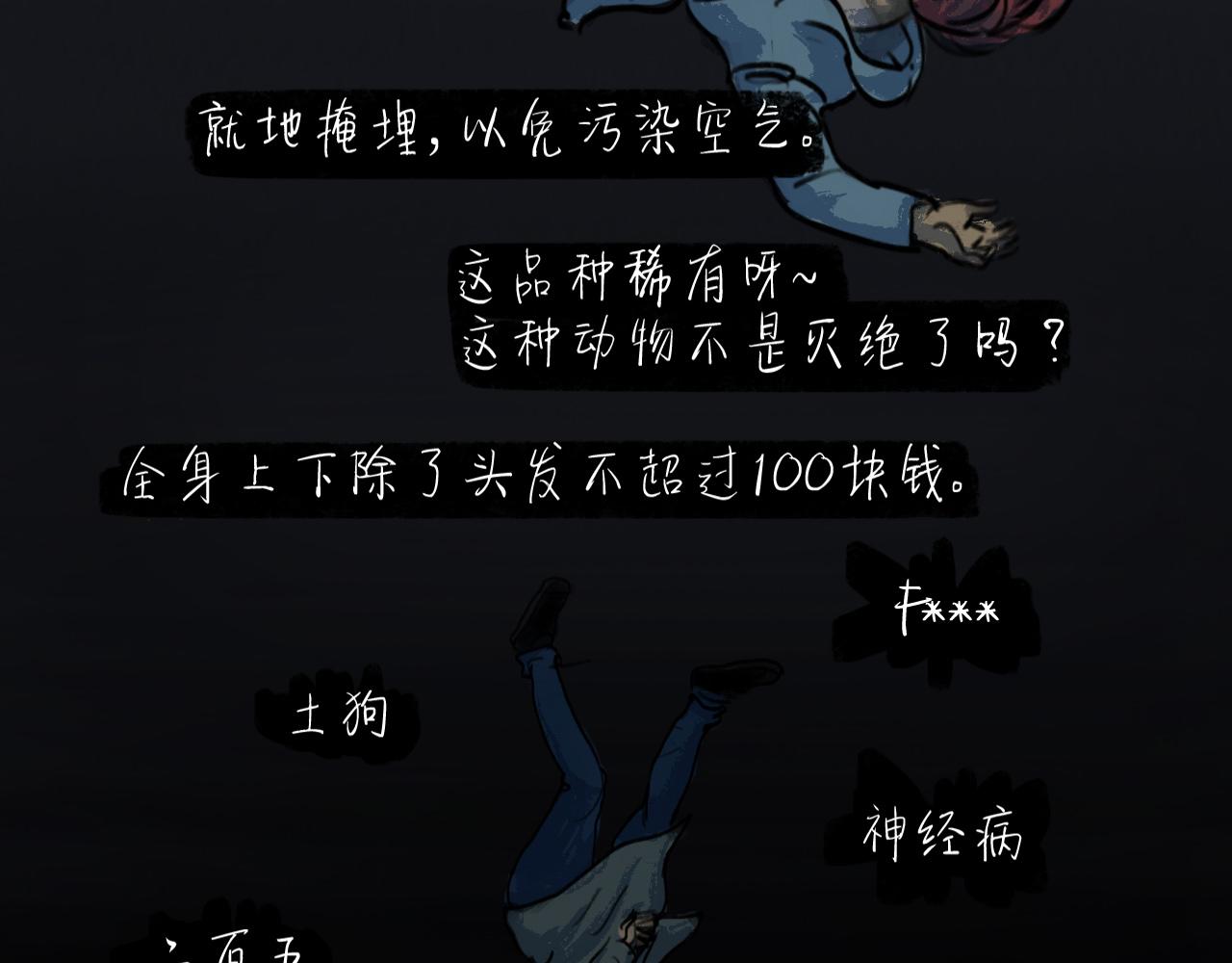 38.jpg