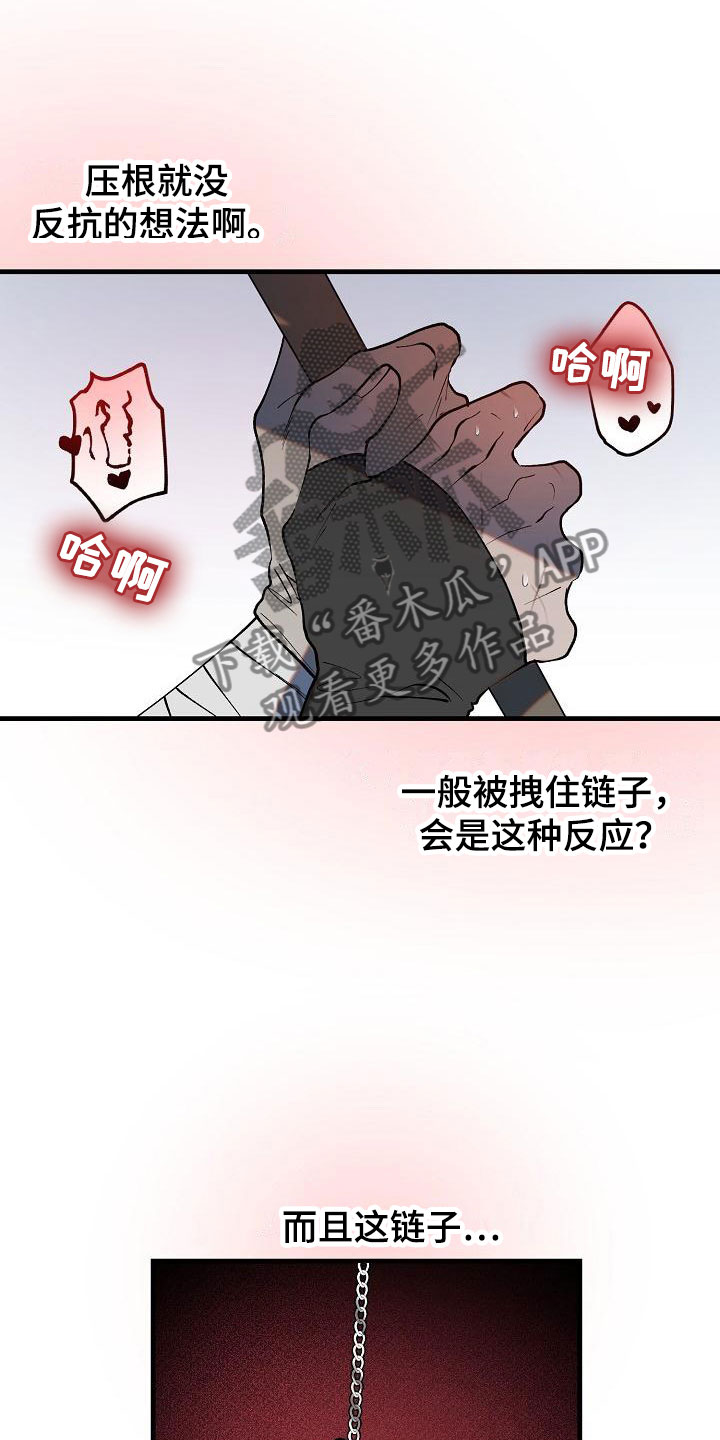 21.jpg
