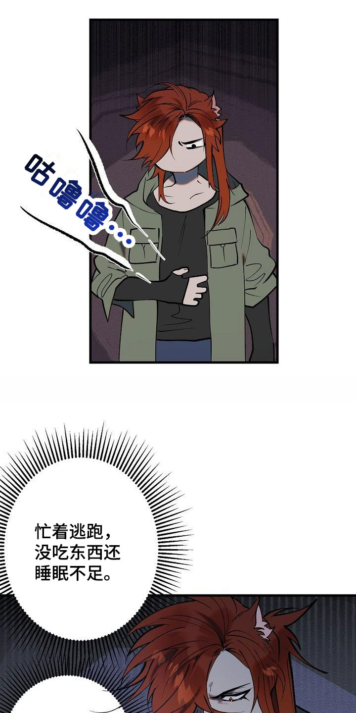 27.jpg