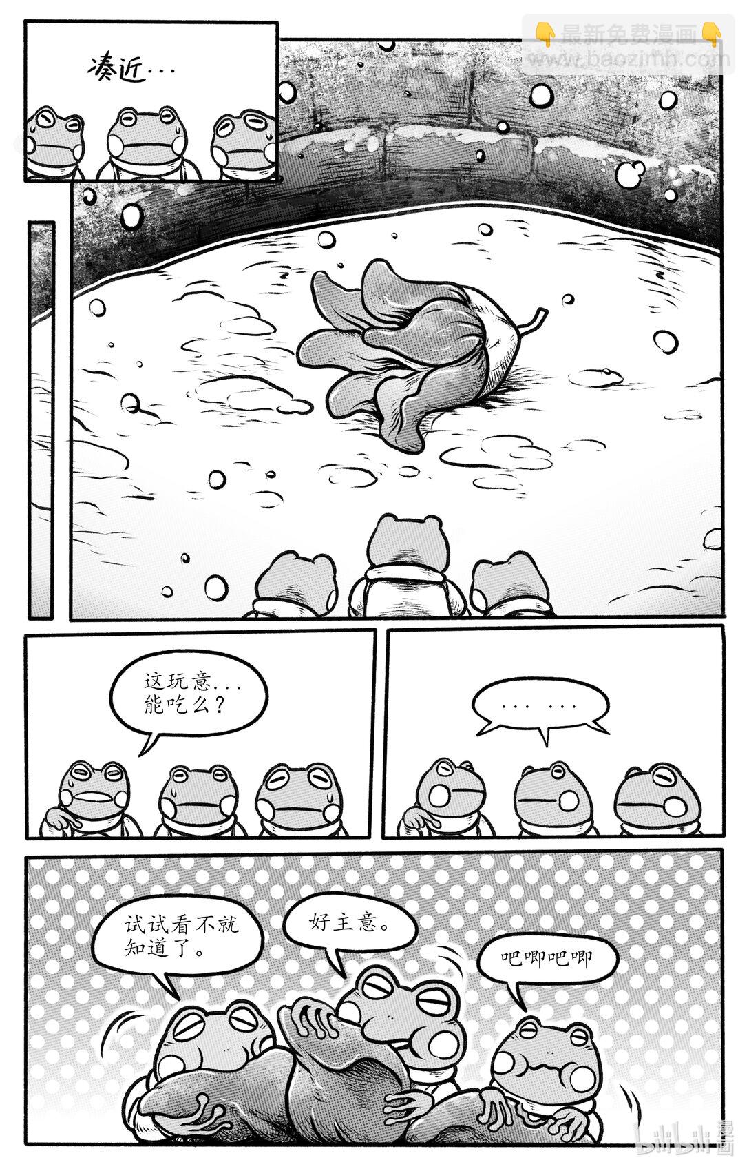 15.jpg