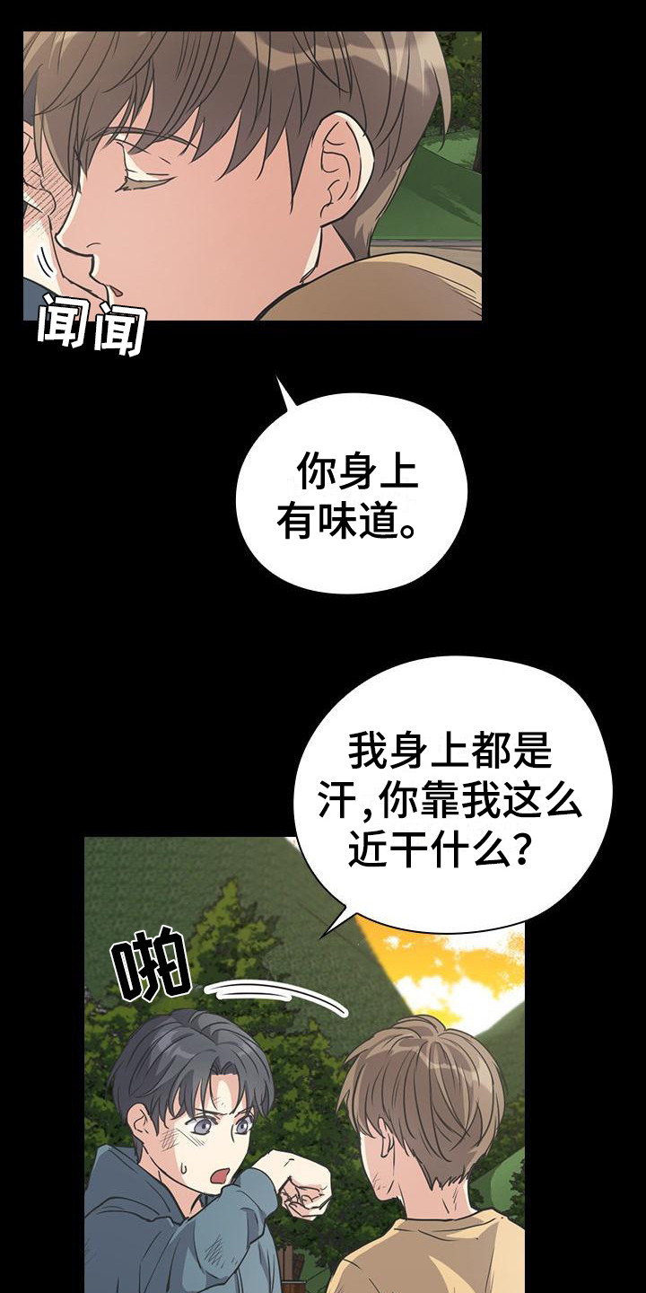 13.jpg
