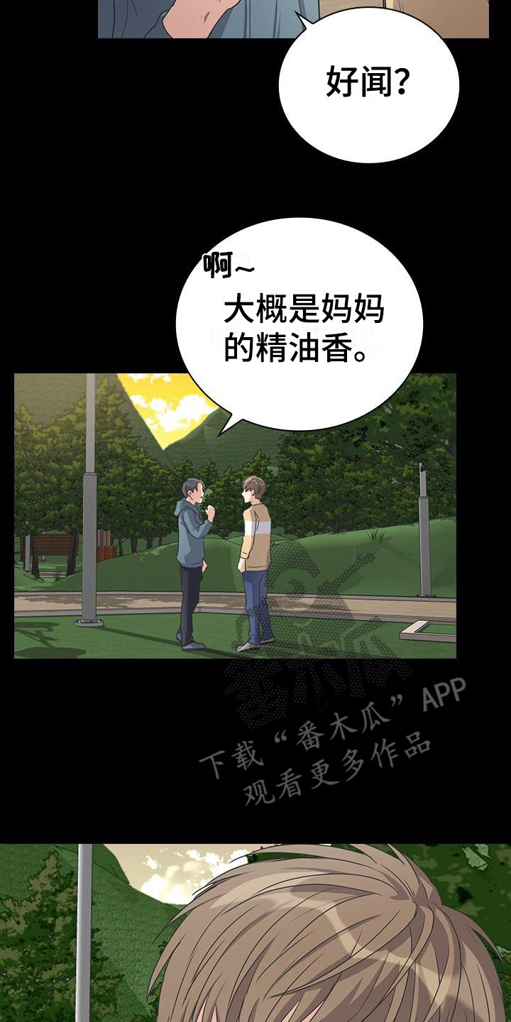 15.jpg